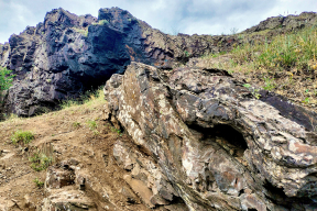 Дневник войны, глава 259. Военная рутина – завещание, посмертное донорство и горы