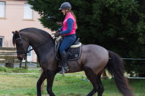 Верхом за багетом – так тоже можно