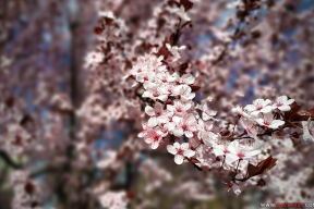 Дневник войны, глава 300. «Осторожно спрашиваю у подруги о планах на выходные – о шашлыках»